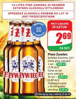 Dino Piwo Żywiec oferta