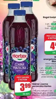 Dino Nektar czarna porzeczka Hortex oferta
