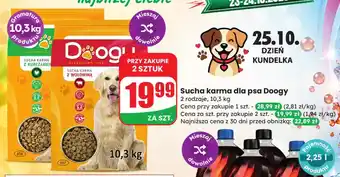 Sucha karma dla psa z wołowiną Doogy