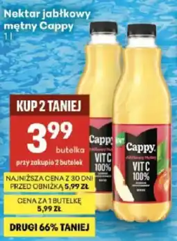 Delikatesy Centrum Nektar jabłkowy mętny Cappy oferta