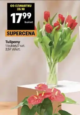 Delikatesy Centrum Tulipany oferta