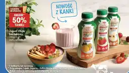 Delikatesy Centrum Jogurt + Kefir Kanka bez laktozy oferta