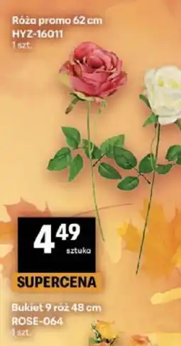 Delikatesy Centrum Róża promo oferta
