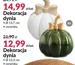 Agata Meble Dynia oferta