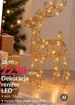 Agata Meble Renifer oferta