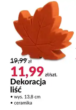 Agata Meble Dekoracja oferta