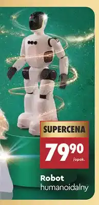 Biedronka Robot humanoidalny oferta