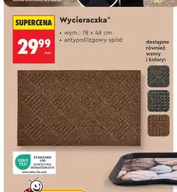 Biedronka Wycieraczka 78x48 cm oferta
