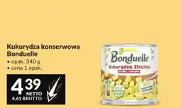 Makro Kukurydza Złocista Bonduelle oferta