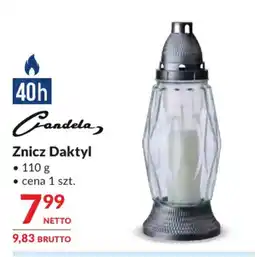 Makro Candela Znicz Daktyl oferta