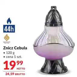 Makro Znicz Cebula oferta
