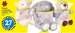 Tedi Pluszak z poduszką z pestek wiśni oferta