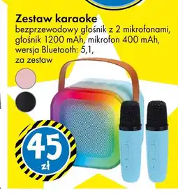 Tedi Zestaw karaoke bezprzewodowy głośnik z 2 mikrofonami oferta