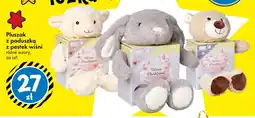 Tedi Pluszak z poduszką z pestek wiśni oferta