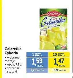 Makro Galaretka Cykoria oferta