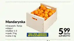 Makro Mandarynki oferta