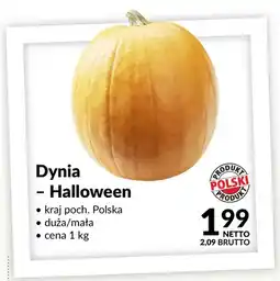 Makro Dynia Halloween oferta