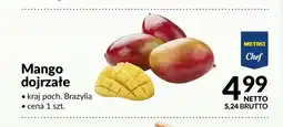 Makro Mango dojrzałe Metro Chef oferta