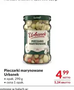 Makro Pieczarki marynowane Urbanek oferta