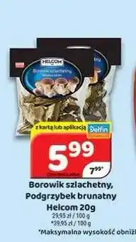 Delfin Borowik szlachetny Helcom oferta