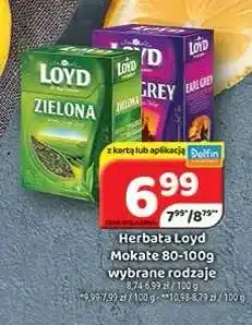 Delfin Herbata Loyd Mokate oferta