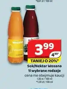 Delfin Sok lub nektar Wosana oferta