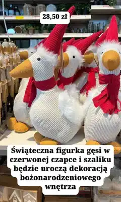 JYSK Figurka świąteczna gęś w czapce i szaliku oferta