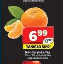 Delfin Mandarynka oferta