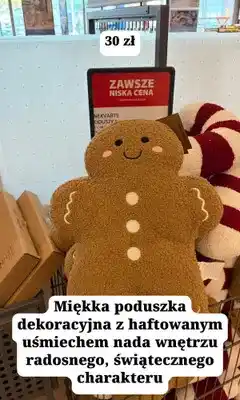 JYSK Poduszka dekoracyjna Snekvarts piernik oferta
