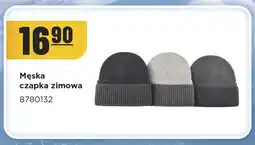 MR. DIY Męska czapka zimowa 8780132 oferta