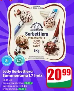 Dino Lody Sorbettiera Sammontana mix oferta