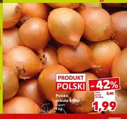 Kaufland Cebula żółta polska oferta