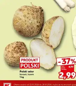 Kaufland Seler korzeń polski oferta