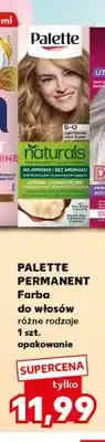 Kaufland Farba do włosów Palette Permanent oferta