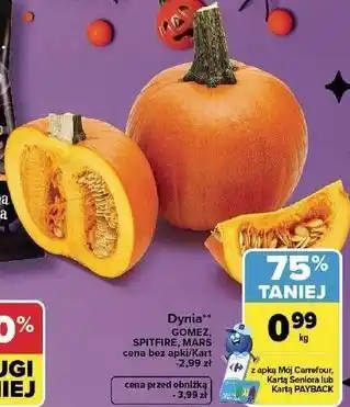 Dynia