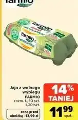 Carrefour Market Jaja z wolnego wybiegu Farmio oferta
