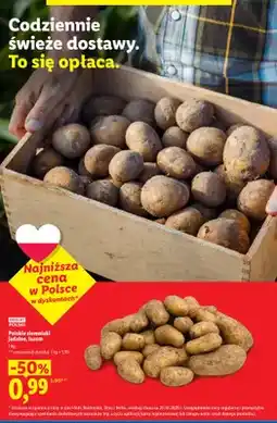 Lidl Ziemniaki jadalne polskie luzem oferta