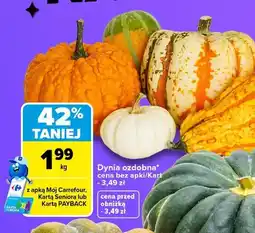 Carrefour Dynia ozdobna oferta
