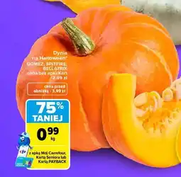 Carrefour Dynia na Halloween Spitfire oferta