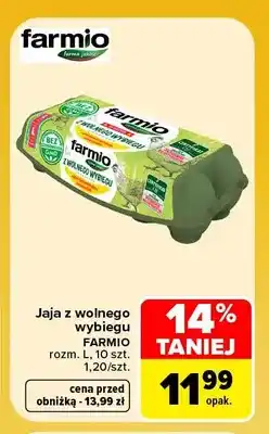 Carrefour Jajka kurze z wolnego wybiegu Farmio rozm. L oferta
