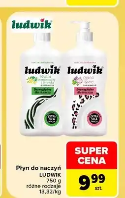 Carrefour Płyn do naczyń Ludwik oferta
