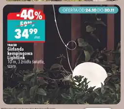 Biedronka Girlanda kempingowa Lightlink Tracer oferta