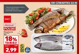 Kaufland Pstrąg tęczowy Blue oferta
