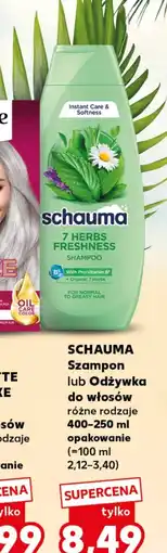 Kaufland Odżywka do włosów Schauma oferta