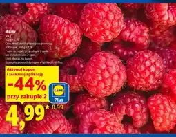 Lidl Maliny oferta
