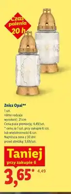 Lidl Znicz Opal oferta