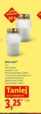 Lidl Znicz Luna oferta