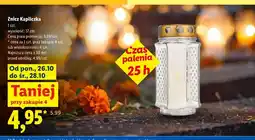 Lidl Znicz Kapliczka oferta