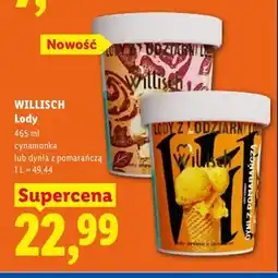 Lidl Lody dynia z pomarańczą Willisch oferta