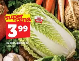 Topaz Kapusta pekińska oferta